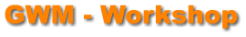 GWM - Workshop